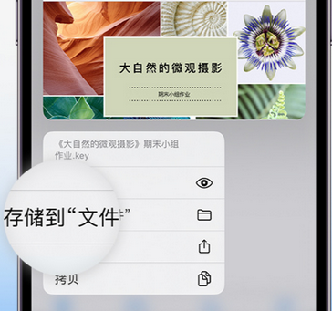 冀州apple维修中心分享iPhone文件应用中存储和找到下载文件