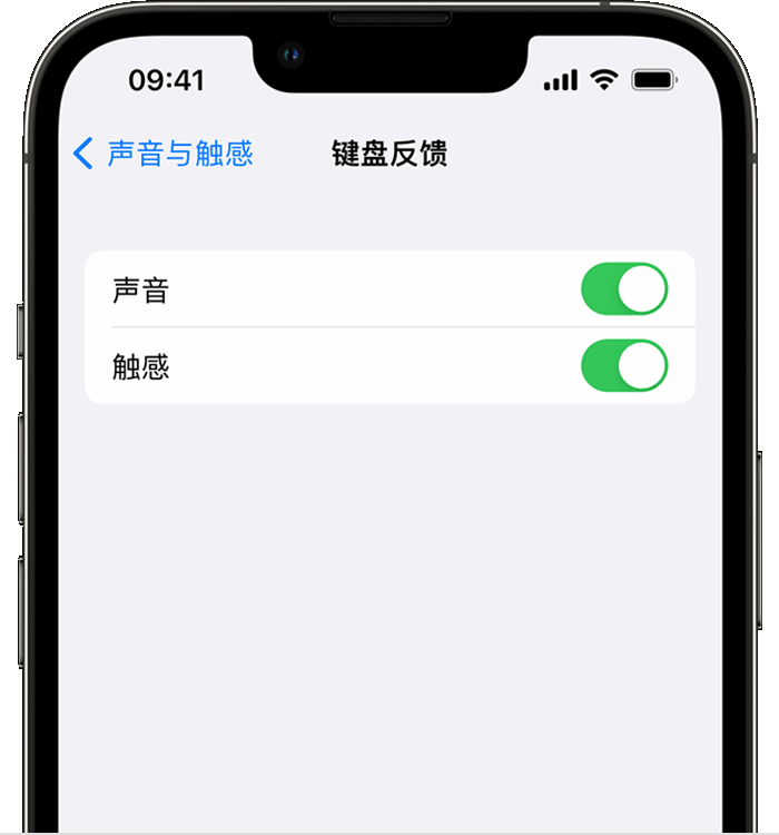 冀州苹果14维修店分享如何在 iPhone 14 机型中使用触感键盘 