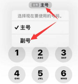 冀州苹果14维修店分享iPhone 14 Pro Max使用副卡打电话的方法 