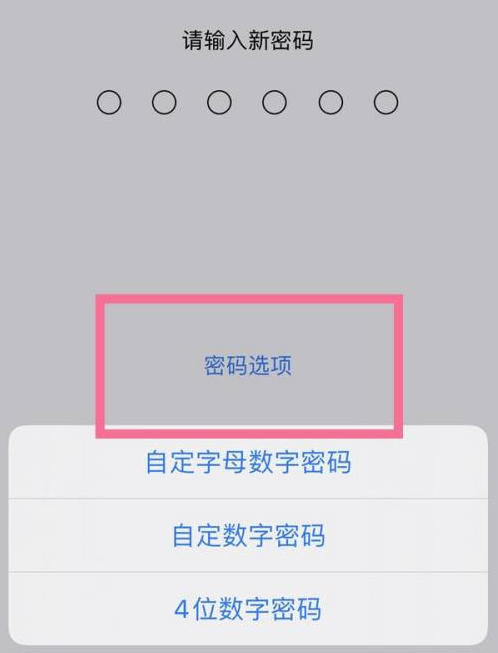 冀州苹果14维修分享iPhone 14plus设置密码的方法 