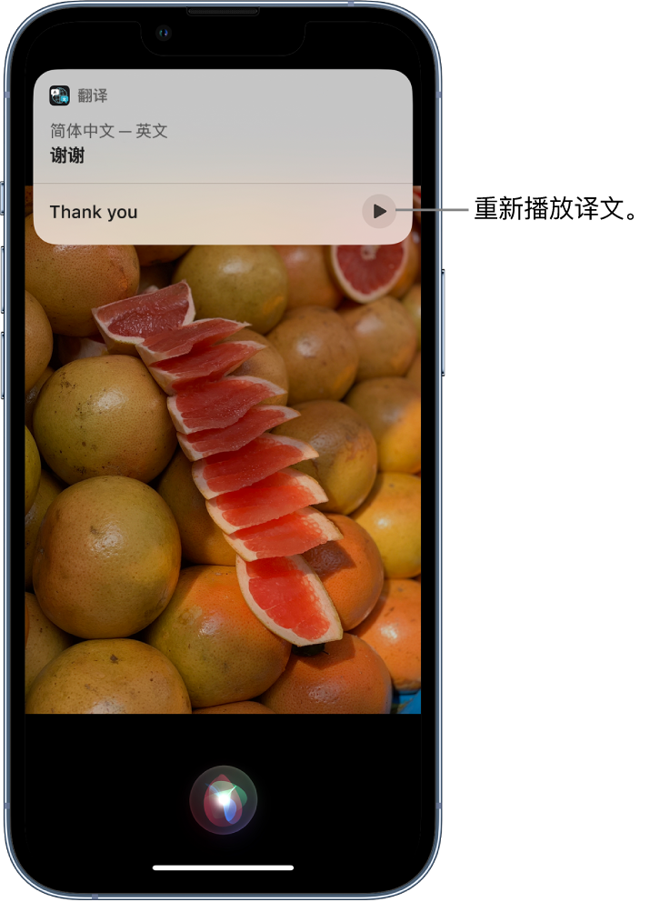 冀州苹果14维修分享 iPhone 14 机型中使用 Siri：了解 Siri 能帮你做什么 