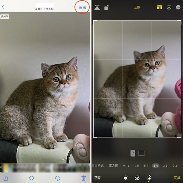 冀州苹果手机维修分享苹果 iPhone 12 Pro 拍照会过度锐化 