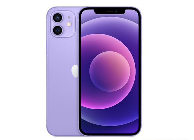冀州苹果手机维修分享现阶段要不要入手紫色版iPhone12 