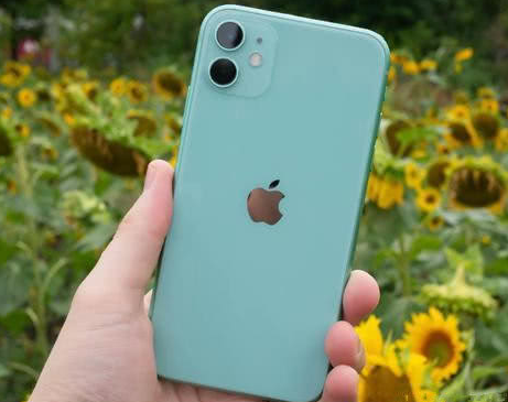 冀州苹果维修点分享iPhone 11锁屏密码认知与使用科普 